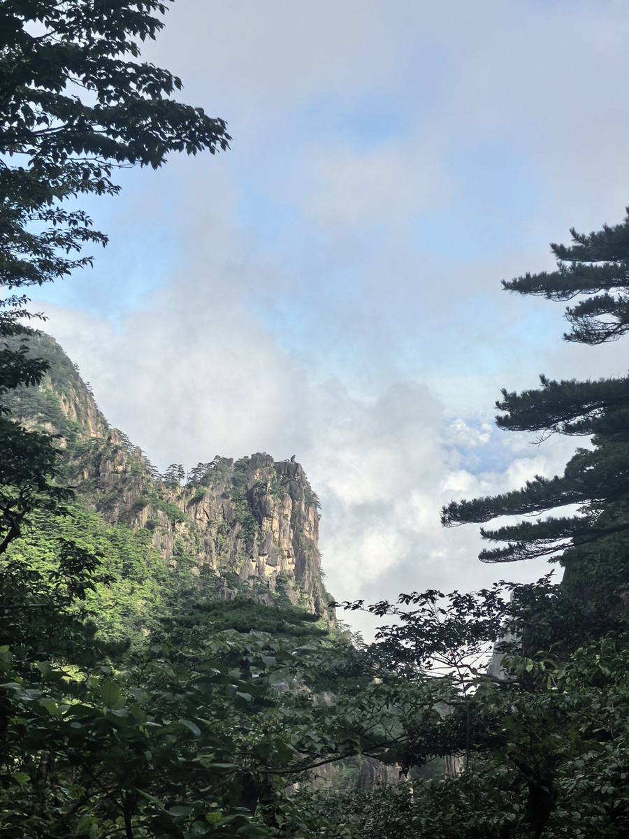 黄山峡谷中的峰林与云雾